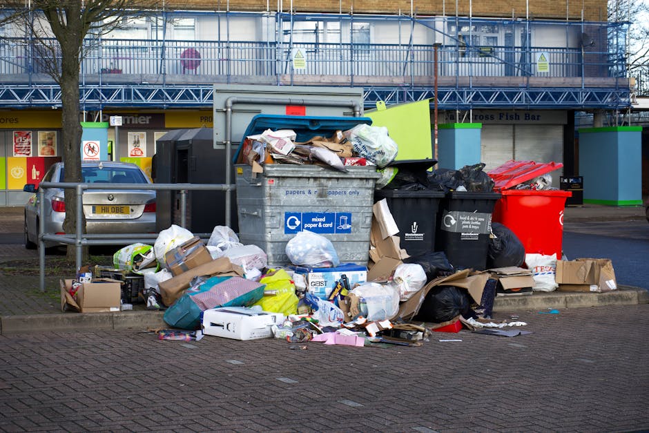 Elgin Avenue bulky rubbish clearance options Maida Vale