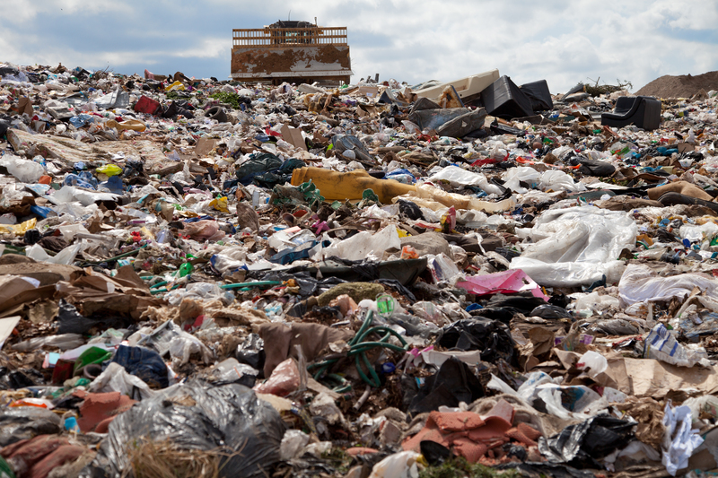Help for Hoarders: Compassionate and Effective Clean Up Strategies